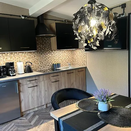 아파트 Przy Plazy Marlina Niewiesze